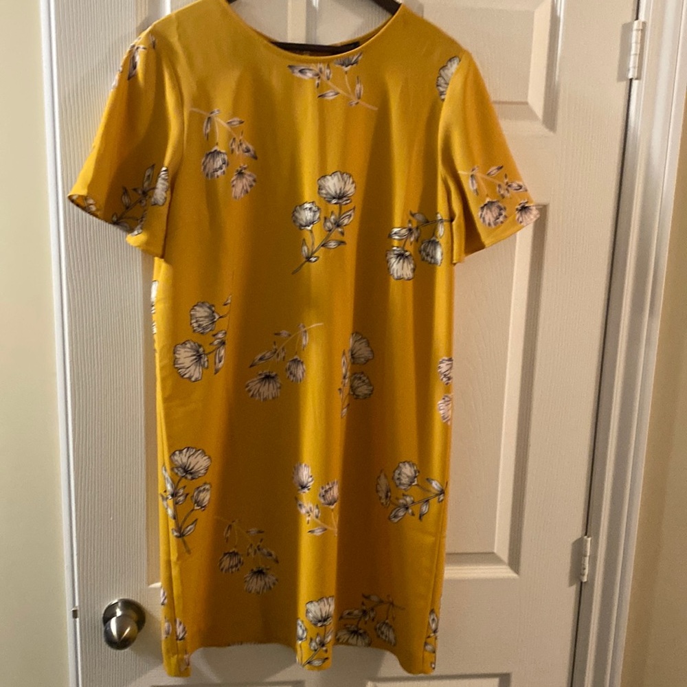 Women’s Dress size 16 by Ann Taylor